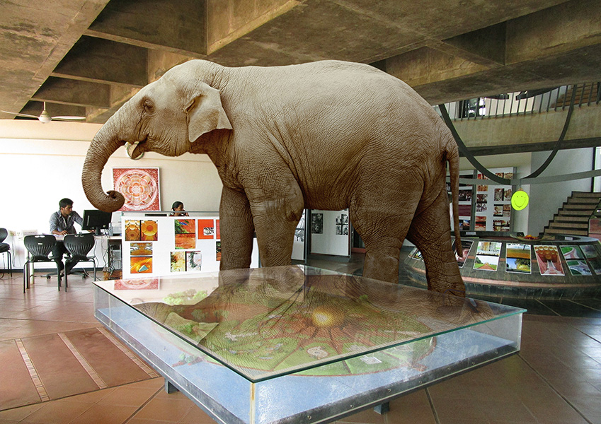 Elephant in Town Hall